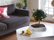 Design table basse Volcane