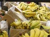 Taux record cancer mais qu’est-ce rend hommes martiniquais malades