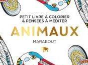 coloriage gogo chez Marabout janvier