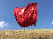 Comment bien prendre photos avec iPhone