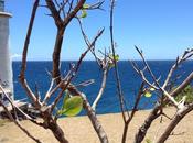 photo histoire dimanches enfance