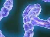 EBOLA: Retourner capacité mutation contre Journal Virology