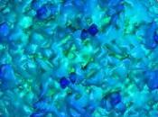 POLIO: nouvelles souches vaccinales sans risque mutation PLoS Pathogens