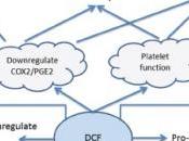 VOLTARÈNE (diclofénac): anticancéreux prometteur? ecancermedicalscience