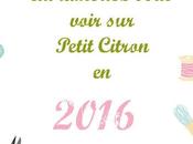 Quels patrons techniques couture souhaiteriez vous voir Petit Citron 2016