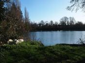 d’année dans Beauce