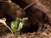 Manifeste pour sauvegarde terres agricoles