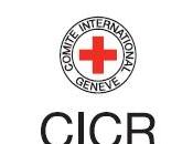 CICR besoin d’un budget record pour couvrir opérations