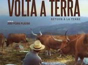 Cinéma Volta Terra, infos