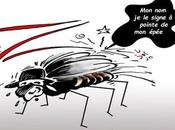 moustique tigre signe Zika