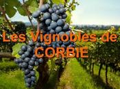 [Corbie] Vignobles Corbie