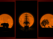 Wallpaper: soleil couche votre iPhone