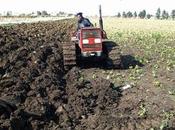 Ressources eau, mécanisation, semences organisation filières conditions d’un renouveau agricole
