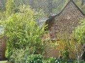 CESU Accueil Familial