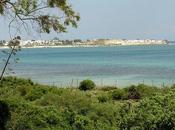 HAMMAMET (Tunisie)