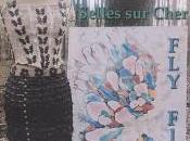 Galerie VAGABONDE Selles cher Février 2016 expo