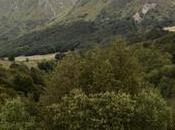 [Podcast #34] Devenir cinéaste animalier avec Clément Couturier