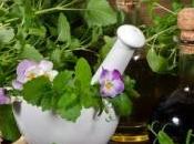 COLITE ULCÉREUSE: vinaigre pour calmer rétablir microbiote Journal Agricultural Food Chemistry
