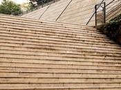 Lyon s’est enfin fait dompter