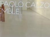Galerie Kamel MENNOUR exposition Pier Paolo CALZOLARI ensemble