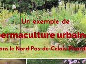 avant-première, couverture livre permaculture