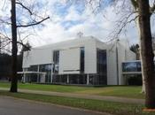 L’arbre cache forêt… musée Frieder Burda