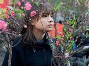 Marché fleurs pour fêtes Vietnam