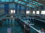 Ouargla: l’aquaculture dans Sud, créneau économique porteur valoriser