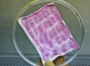 SOIN BRÛLURES: pansements anti-infectieux base cellules progénitrices EPFL Scientific Reports