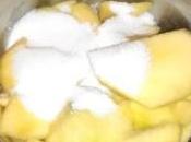 Mousse mangues fraiches