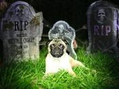 Facebook: 2098 aura plus morts vivants