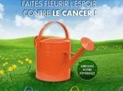 jonquille pour curie contre cancer faites fleurir l’espoir