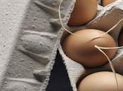 PÂQUES Patrick Roger poule l’honneur