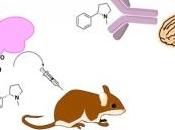DÉPENDANCE TABAGIQUE: Vers vaccination anti-nicotine? Journal Medicinal Chemistry