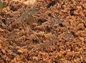 Pain bananes chocolat