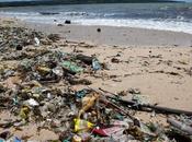 Micro-plastiques l’Océan, Bientôt dans votre Assiette