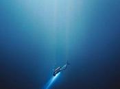 Cinéma L’Odyssée, infos