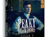 Critique Bluray: Peaky Blinders saison