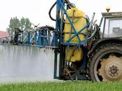 pesticides coûtaient plus qu’ils rapportent