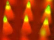 MÉLANOME: l'on diffusait l'immunothérapie patch? Nano Letters