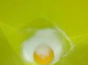 Flan vanille gourmand mais ultra léger