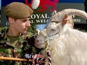 amis hommes. 3/04/2016