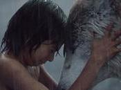 [critique] Livre Jungle ayez confiaaaance...