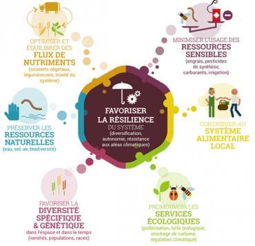 Qu'est-ce que l'agroécologie : fiche pratique
