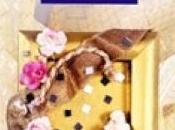 livre- Home déco Tableaux Romantiques