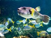 Charente-Maritime, trois spots passer vacances printemps