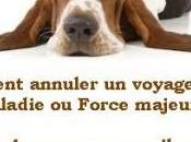 Comment annuler voyage pour Maladie Force majeure