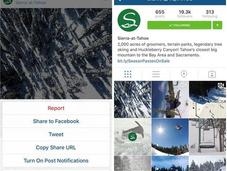 Comment activer notifications publications Instagram