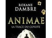 Animae trace coyote