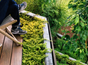 ARCHITECTURE Spectacular garden Mary Barensfeld